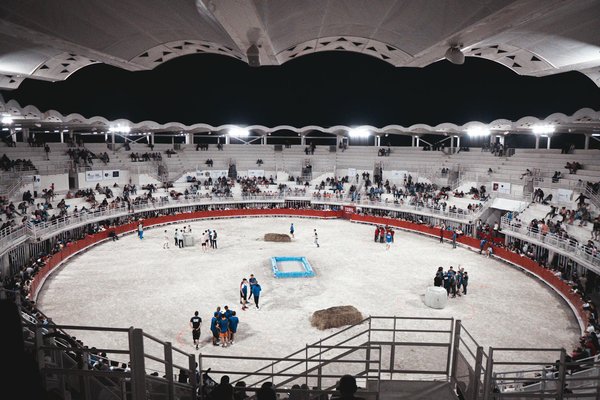 Les Meilleurs Programmes d'Entraînement pour Sportifs Amateurs